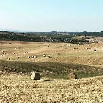 La Paolina Guest House Osteria Delle Noci 0*,  Italy
