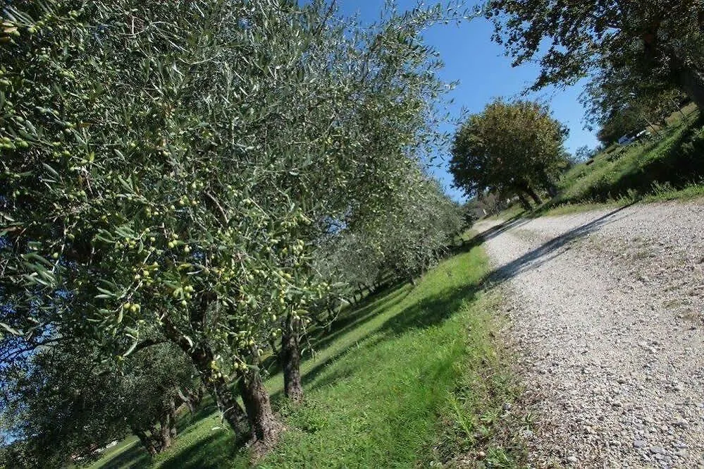 La Paolina Guest House Osteria Delle Noci